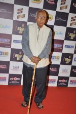 at Radio Mirchi music awards red carpet in Mumbai on 7th Feb 2013 (76).JPG